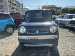 
										2015 Suzuki Hustler full									