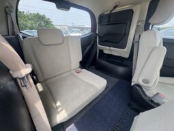 
										2009 Honda Freed full									