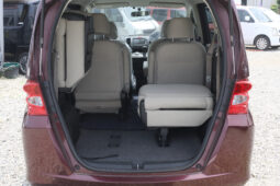 
										2009 Honda Freed full									