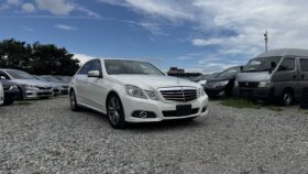 2009 Mercedes-Benz E300