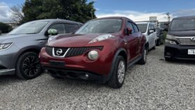 2012 Nissan Juke