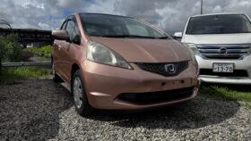2010 Honda Fit – She’s