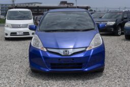 
										2011 Fit Hybrid full									