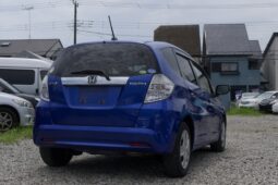 
										2011 Fit Hybrid full									