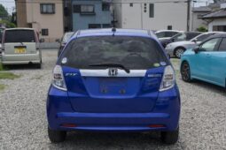 
										2011 Fit Hybrid full									