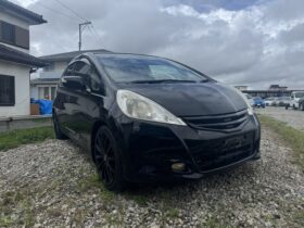 2010 Honda Fit Hyrid (black)
