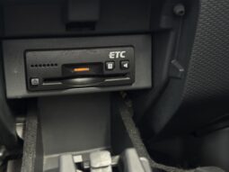
										2011 Suzuki Solio full									