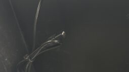 
										2013 Mazda CX-5 (Diesel) full									