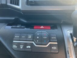 
										2010 Stepwagon Spada full									