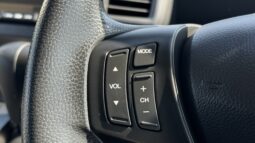 
2009 Honda Freed full									