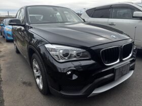 2013 BMW X-1