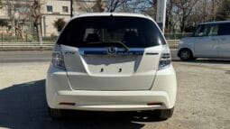 
2010 Honda Fit Hybrid full									
