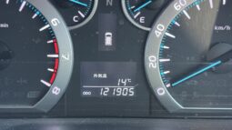 
2009 Toyota Vellfire full									