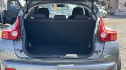 
2012 Nissan Juke full									