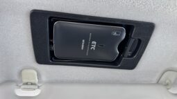 
2010 Mazda Axela full									