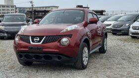 2011 Nissan Juke