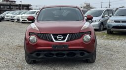 
2011 Nissan Juke full									