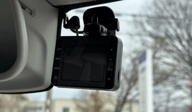 
2015 Suzuki Hustler full									