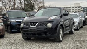 2010 Nissan Juke