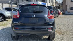 
2010 Nissan Juke full									