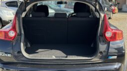 
2010 Nissan Juke full									