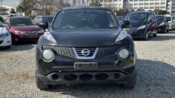 
2010 Nissan Juke full									