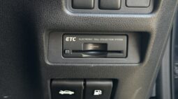 
2010 Nissan Juke full									